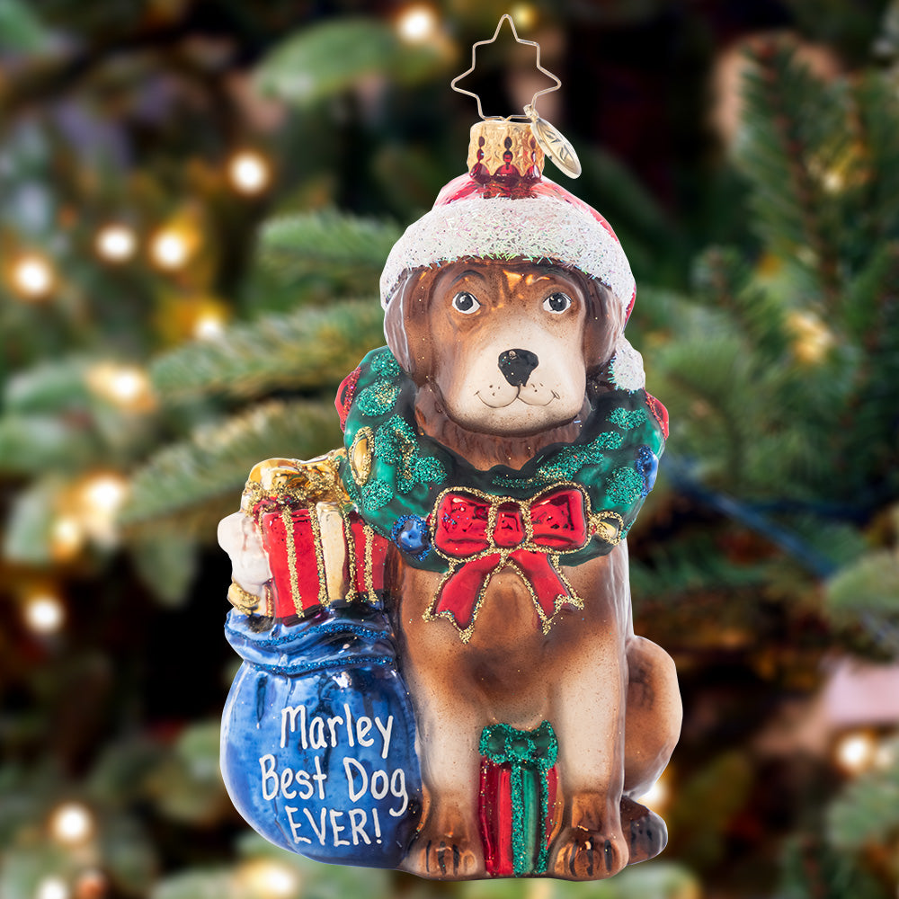 Chocolate lab christmas ornaments hotsell