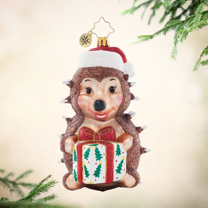 Front image - Squeeze Me Again - (Porcupine ornament)