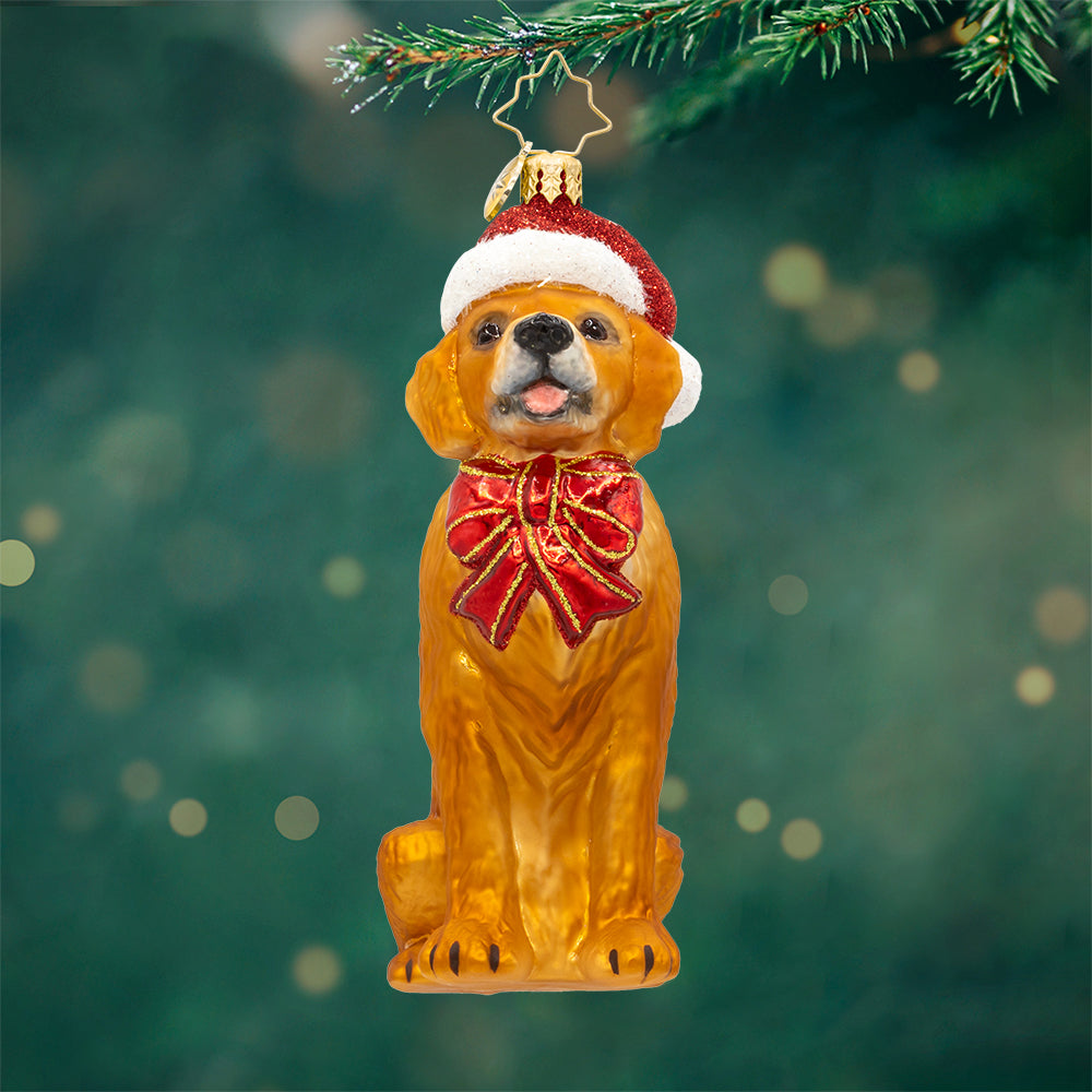 Front image - Golden Paws Pal - (Dog ornaments)