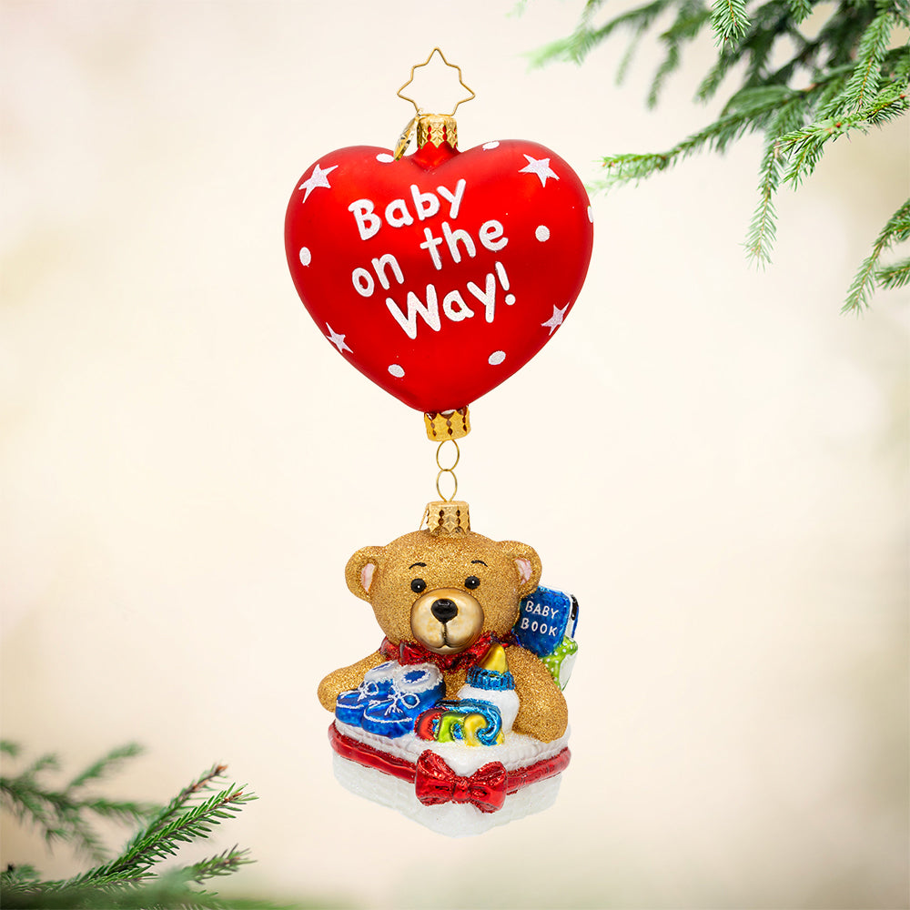 Front image - Baby on Board Bundle - (Our first Christmas ornament)