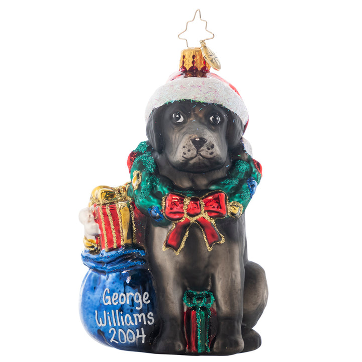 Ornament Description - Noble Black Lab: Now you can personalize an ornament for your favorite pup! This black lab is ready to celebrate Christmas with the family! Kind and loyal this lab is enthusiastic to play the game fetch and go swimming on this holiday full of fun and family! Note: Please allow up to one month (on top of shipping time) for our elves to personalize your ornament.